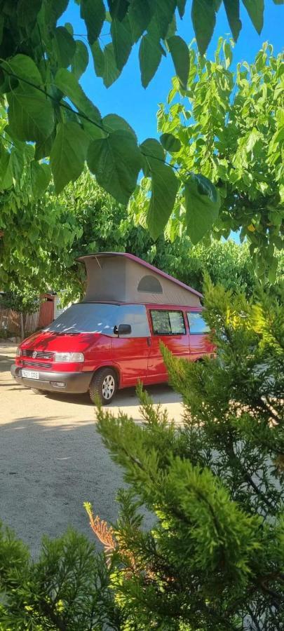 Camping El Pinar Platja Santa Susanna Buitenkant foto