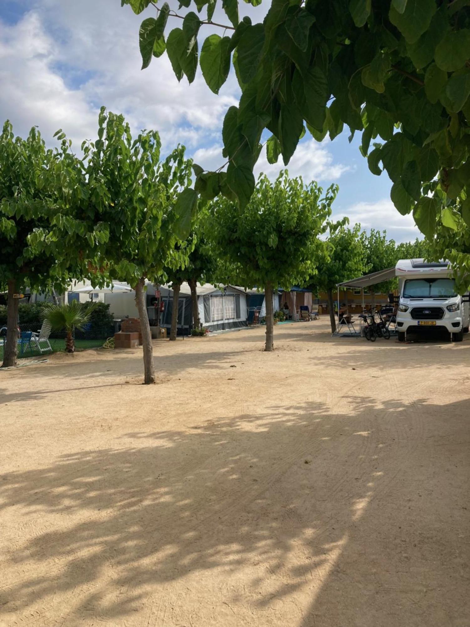 Camping El Pinar Platja Santa Susanna Buitenkant foto